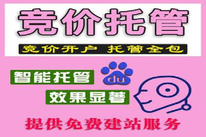 SEM竞价实战：案例解读广告投放技巧